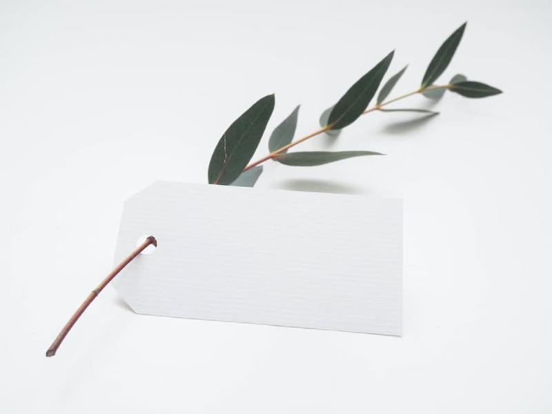 Featured image of post 欢迎您的到来